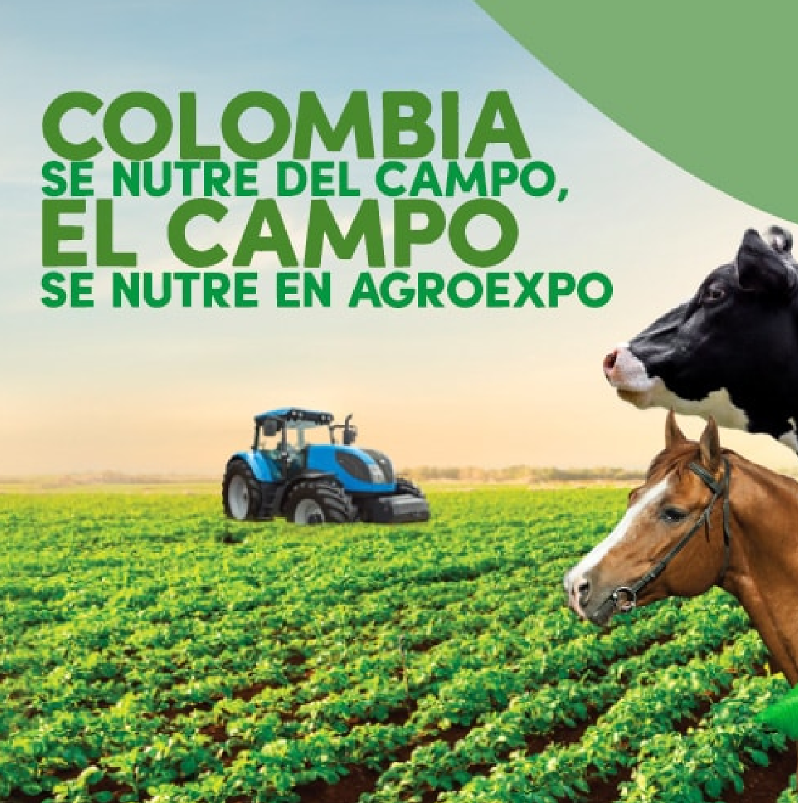 Agroexpo se celebrará del 27 al 30 de enero de 2021